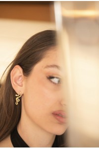 Snake earrings