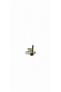 Geometric ring