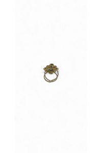 Kronos ring