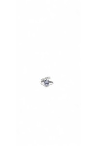 zizel ring